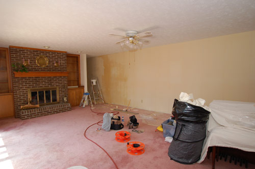 During Photo - Cleveland Wallpaper Removal